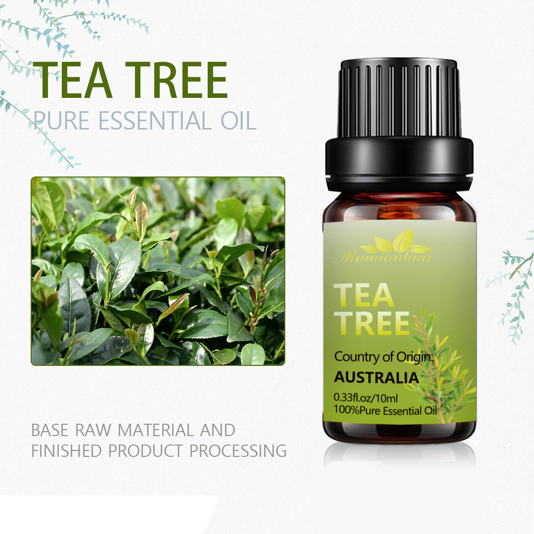 Skin Tea Tree Essential Oil 100% Pure Organic Essential Oil 1kg OEM / ODM