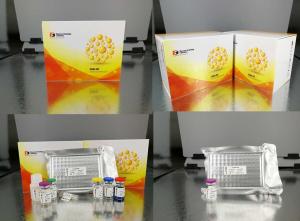 China Customized Hpt Sandwich Immunoassay Kit Canine Haptoglobin High Sensitive factory