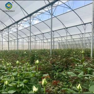 China Customization Commercial Gothic Type Greenhouse With Electric Systems factory