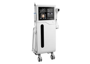 China Vertical 4D HiFu Machine Facial Beauty SMAS Lift HIFU With 4 Handles For Face Body female intimate areal Tightening factory