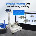 Customizable 200kg Stainless Steel Scales with Waterproof Design and Printing