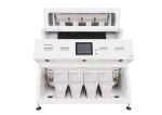Low price high output Color Sorter Machine for maize/corn/ wheat/rice /beans