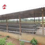 Battery Poultry Farming Cage System Decrease Temperature For Layers Star