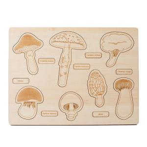 China Montessori Toy wooden Mushroom Growth Cycle Puzzle &amp;Wooden Dinosaur Puzzle factory