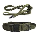 Personalized Custom Luxury Designer Nylon Metal Heavy Duty Training Pet Rope