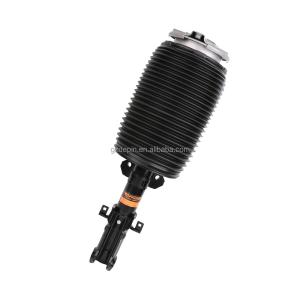 China Mercedes-Benz GLS Class 1673201103 Air Suspension Shock Absorber factory