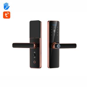 China Intelligent Password Fingerprint Door Lock TTlock Auto Door Locks For Home factory