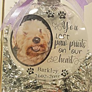 China PVC Plastic Keepsake Pet Memorial Ornament Shatterproof 3.9 Inch factory