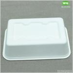 650ml Bleached Sugarcane Lunch Box With PET Lid-Disposable Bagasse Take Away