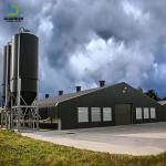 Prefabricated Low Cost Steel Structure Poultry House Construction Layer Cage