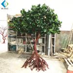 Fiberglass Trunk Artificial Ficus Tree For Hotel Exhibition Hall Ornament