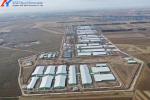 Onsite Installation Piggery Shed Steel Structure Poultry Farming Shed For