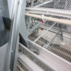 China Full Automatic Laying Chicken Cages Egg Layer Cage For Africa Poultry Hens Farms factory