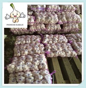 China Fresh normal White garlic 10kg packing China natural garlic price factory