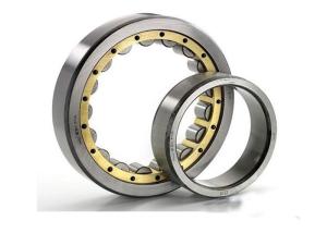 China N1017EM Cylindrical Roller Thrust Bearing N1017 size 85*130*22mm factory