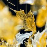 Clear Amber Art Glass Leaves Chandelier Decor Lobby Big Foyer Large Hotel