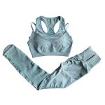 Gym Leggings Padded Sports Bra 2 Piece Yoga Set Seamless Yoga Set