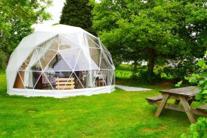 China Transparent PVC Half Sphere 25m Geodesic Dome Tent For Party / Wedding factory