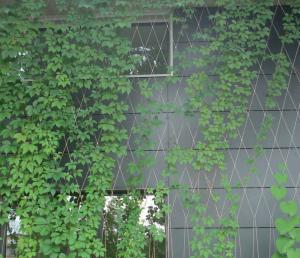 China Weatherproof Green Wall Mesh Lightweight For Living Green Walls Plant Surviving factory