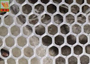 China Hexagonal Plaining 13mm Extruded Plastic Netting factory