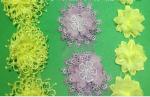 Garment Accessories Embroidery Organza Applique Flower with Sequin