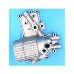 OEM Mould Parts Die Casting in Aluminum Alloy with SGS Certification Customizati