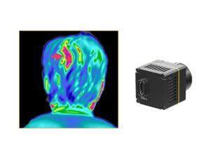China Non Invasive Infrared Camera Core for Thermal Imaging System Medical Diagnosis factory