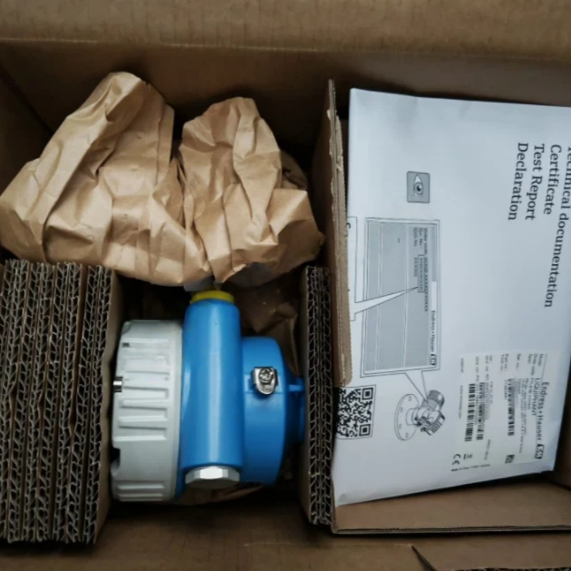 Endress Hauser Vibronic Point Level Detection Liquiphant FTL50 FTL51 FTL51B