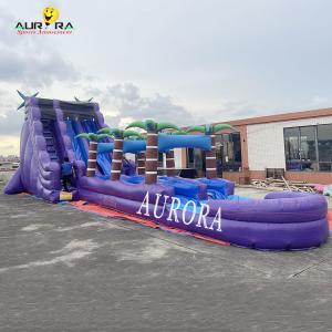 China Purple Inflatable Playground Slide For Schools And Day Cares factory