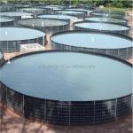 Industrial Design 0.75mm 1mm WaterProof HDPE Polyethylene Blue Geomembrane for