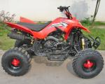 Red 250CC Utility Vehicles ATV 8" Tire Luxury Air Shock Front Drum Brake Rear