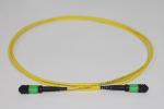 5m MPO Female Single Mode Fiber Patch Cord 12 Fibers OS2 Elite Trunk Cable