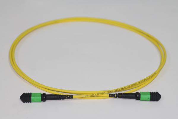 5m MPO Female Single Mode Fiber Patch Cord 12 Fibers OS2 Elite Trunk Cable