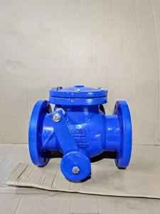 China Counter Weight Swing Check Valve PN10-PN16 Cast Iron For Water Distribution Systems factory