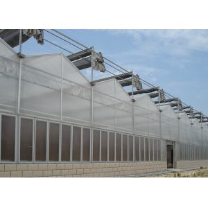 Customized Poly Tunnel Greenhouse Multi Span Agricultural polycarbonate tunnel