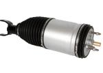 OEM Airmatic Shock Absorber Air Suspension Replacement For DOGE 1500 4877147AF