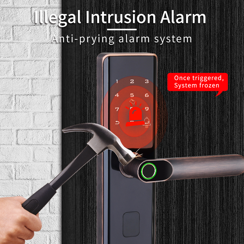 Euro Intelligent Door Lock Tuya Biometric Fingerprint Lock Black