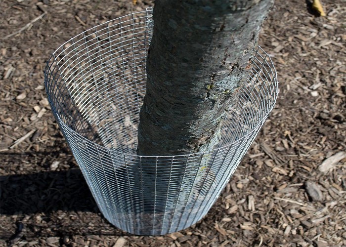Galvanized Welded Wire Mesh Hot Dip Galvanized Welded Mesh for Fence