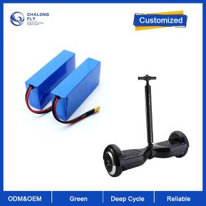 China CLF LiFePO4 Lithium Battery Packs OEM ODM 12V 24V 36V 60V Electric Scooter Battery 10.5AH 16AH 24AH 60AH For E-Wheelchair/E-Motorcycle factory
