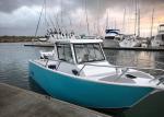 22ft Length Aluminum Fishing Boats 2.45m Beam With Enclosed Windshield