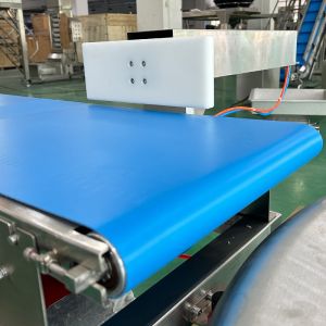 Conveyor Checkweigher Scale Supplier Check Weigher Machine Price Digital Weight