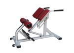 Customizable Ab Exercise Chair Plate Loaded 50kg Equipment Weight Soft Cushion