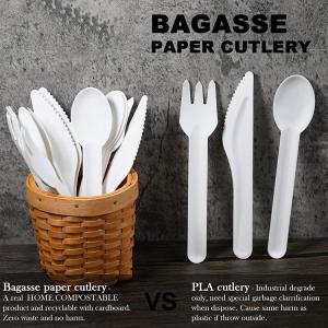 China Compostable Disposable Bagasse Paper Party Cutlery Set factory