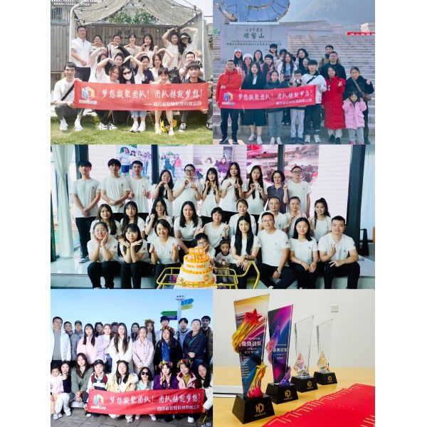 Hongjun Group company overview