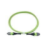 KEXINT 12 Core OM5 Fiber Optic Patch Cord MTP Pro Female 2.0mm 5M Type B