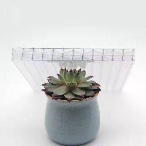China Transparent Eco-friendly X-structure Multiwall Polycarbonate Sheet 16mm Polycarbonate Roofing Sheets on sale