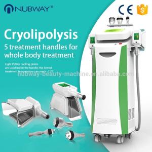 China Professional cryolipolysis cool body sculpting machine fat freezing 360 degree for double chin factory