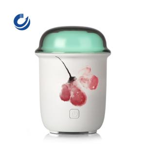 China Desk Atomization Mini Handheld Personal Ultrasonic Humidifier factory
