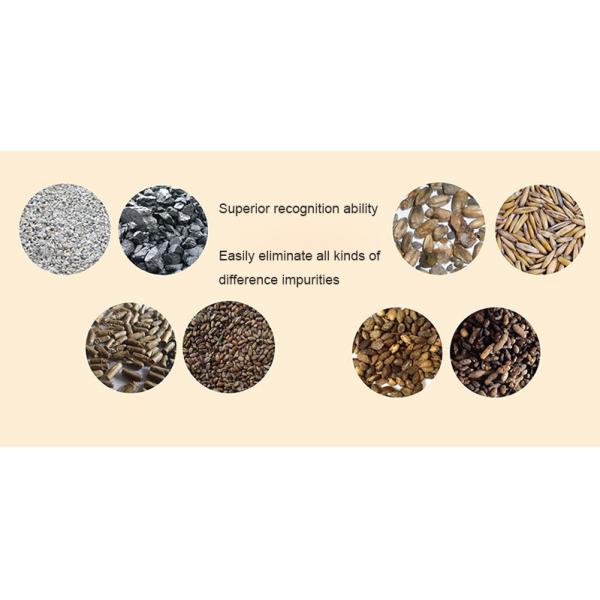 640 channel Grain Color Sorter Machine , Artificial Intelligent Wheat Sorting Machine