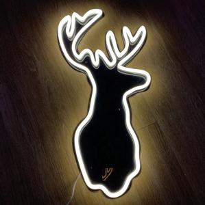 China Holiday Party Event Decoration 2v Custom Waterproof Rgb Flexible Silicone Led Neon Sign Light factory
